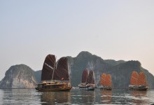 CATBA SAILING JUNK 2 DAYS 1 NIGHT & 3 DAYS 2 NIGHTS from 358 USD/PERSON only